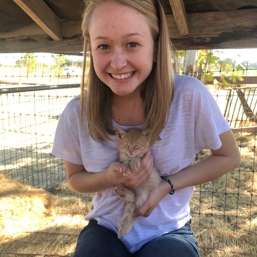 Meet your Posher, Caitlin